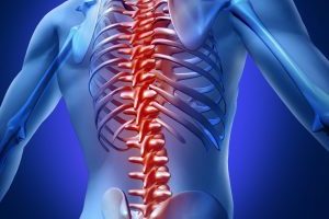Leader Biomedical | Spine Intervention Solutions